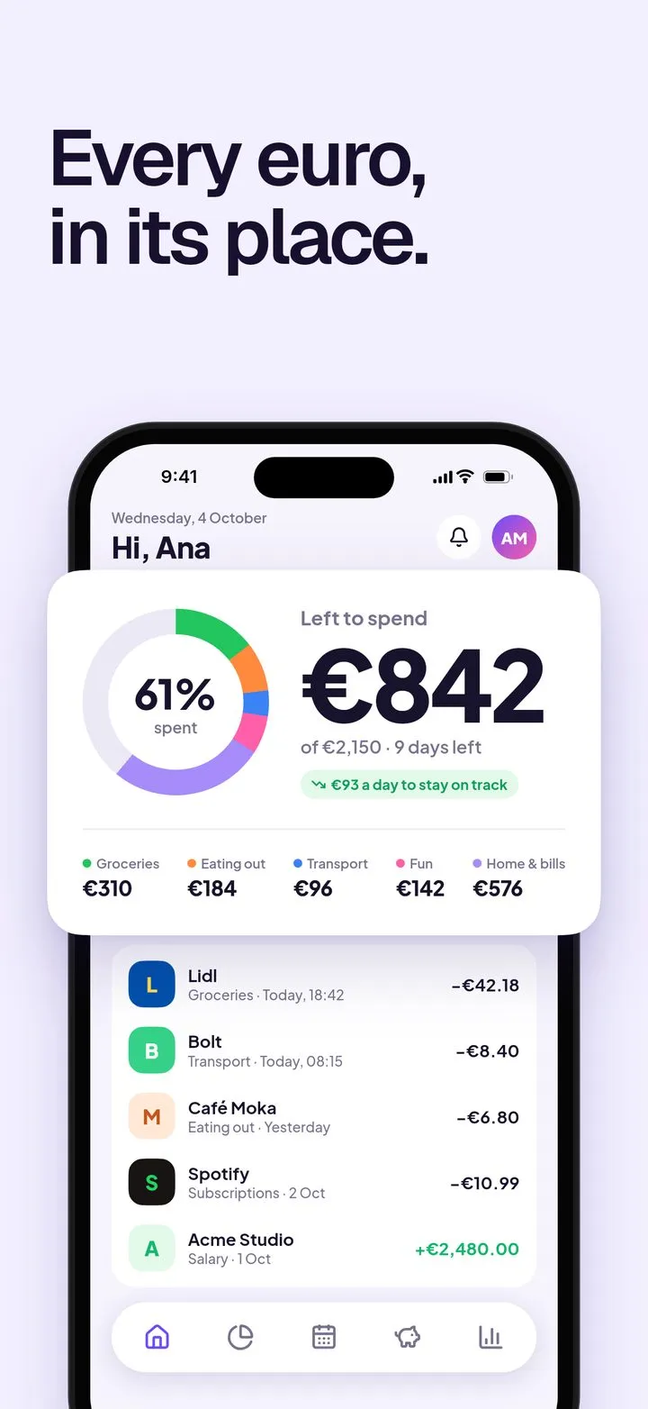 Tally screenshot: Every euro, in its place.
