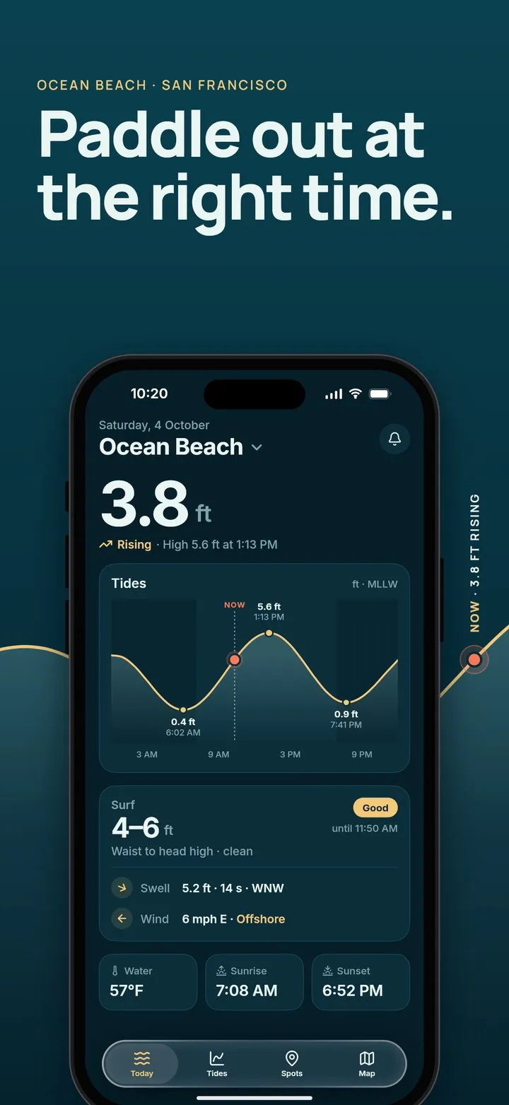 Swell screenshot: Paddle out at the right time.