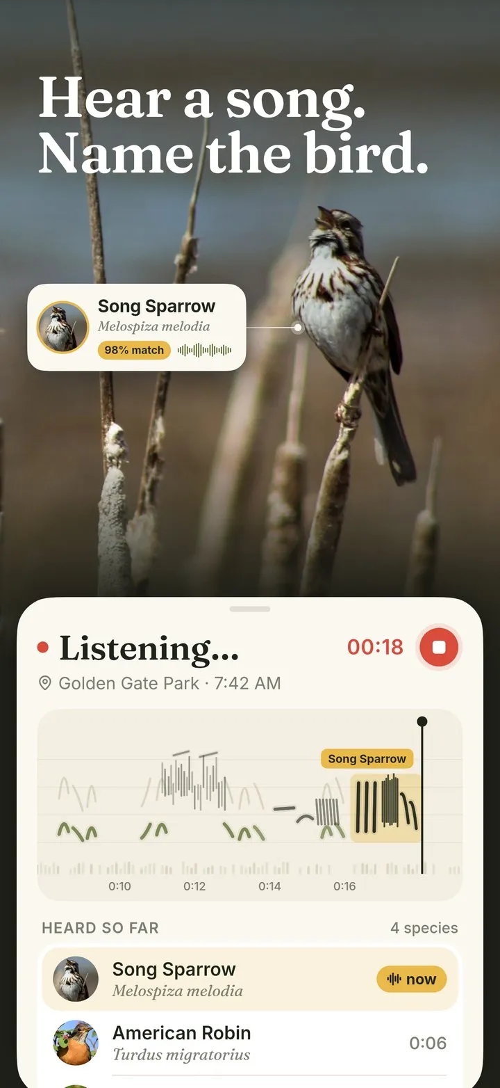 Warbler screenshot: Hear a song. Name the bird.